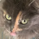 alekzrawrr