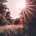 avatar Troubled Frenezulo