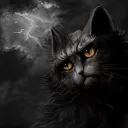 meowlan