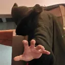 dherkz