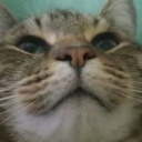 chubbchubbs#1004's avatar