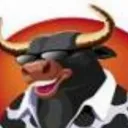 mrtoroloko