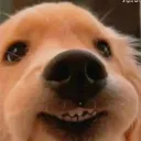 areyouscaredyet