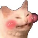 46nekodesu