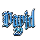 david29