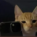 pinfontex