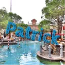 dieserpatrick