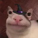 hicasper
