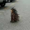 lilasosu