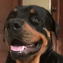 dav1dful
