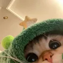 alexprint