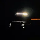 hamann_48