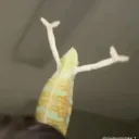 tekkerzed