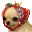 unicornskins