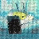 .apiary