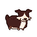 guywith.dog