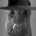 dunz1nho#3008's avatar