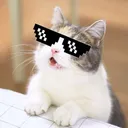 t4kaxd