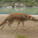 avatar 🧀 🅿🅾RK