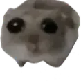 NonStopDC's Avatar