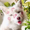 goruguro