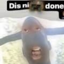 avatar har