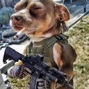 Dem
