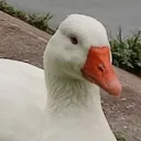 madsatanuwu