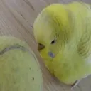 ethanethanethanethanethanethan