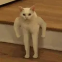 pedromgdo
