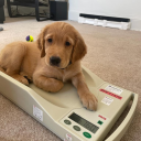 handford.#6721's avatar