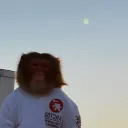 .1d