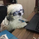 lewboski#3588's avatar