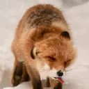 nambayui