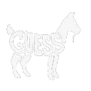 .guess.