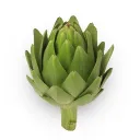 leseulartichaut