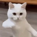 qwertyvlad.