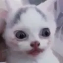 heka9898 avatar