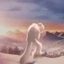 areclusemoose