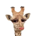 jonn_jonzz