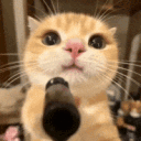 avatar ❀˖°мαяιє⋆.𐙚 ̊