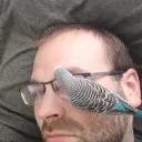 dr4g0nk1ng