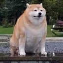 nsevy