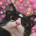 missmajor_