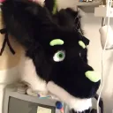 pogofcz