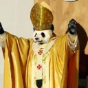 pandas7747