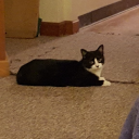 Brian/Whickedd/Twisted/cooking