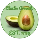 elasticavocado