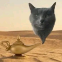ModestTomato