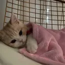 joyfail